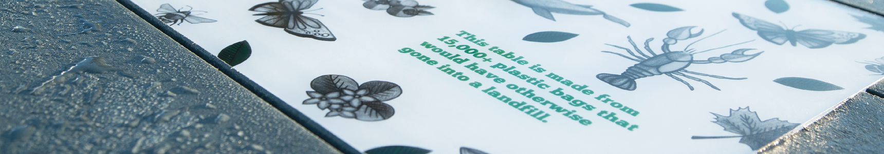 plastic-bags-divider