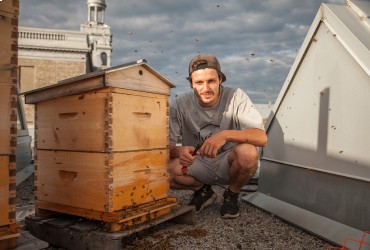 Supporting urban pollinators