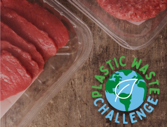 Plastic waste challange