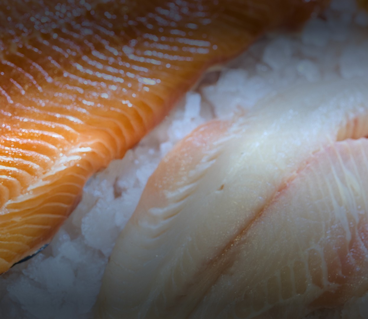 Ethical and sustainable sourcing