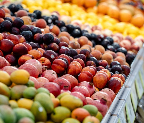 Empire Company Limited and Sobeys Inc. 2025 Sustainable Business Report